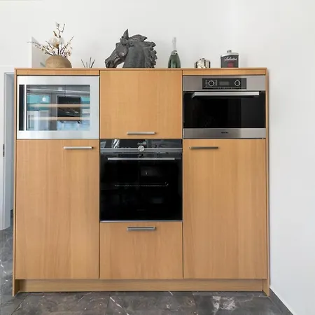 Apartment Flavius Heviz